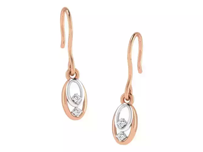 Women drop earrings 3dm render detail