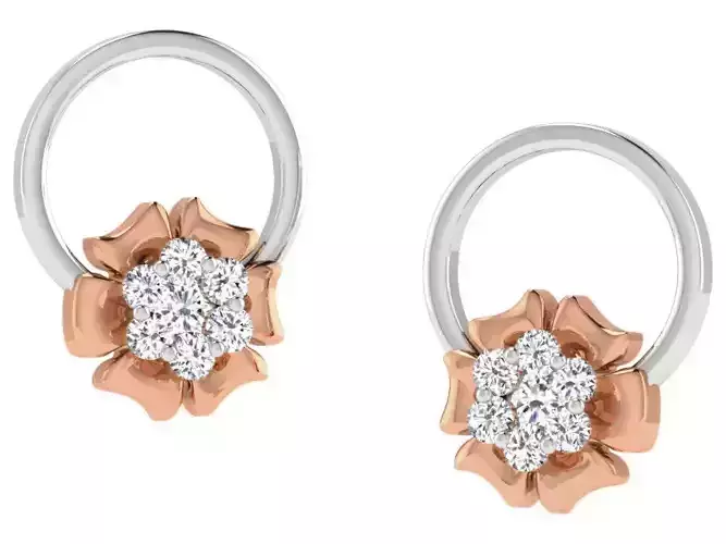 Women studs earrings 3dm render detail