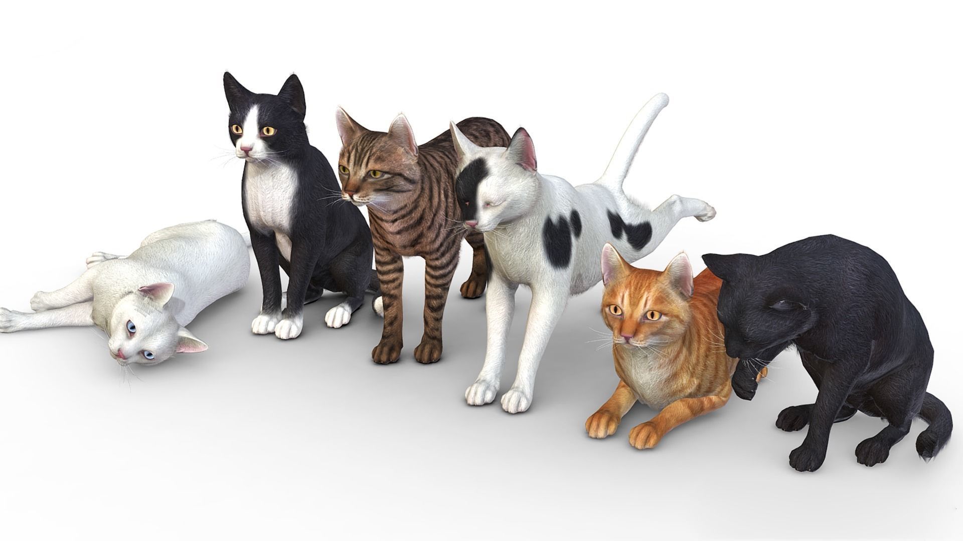 Cats - Simple Low-poly 3D model_2