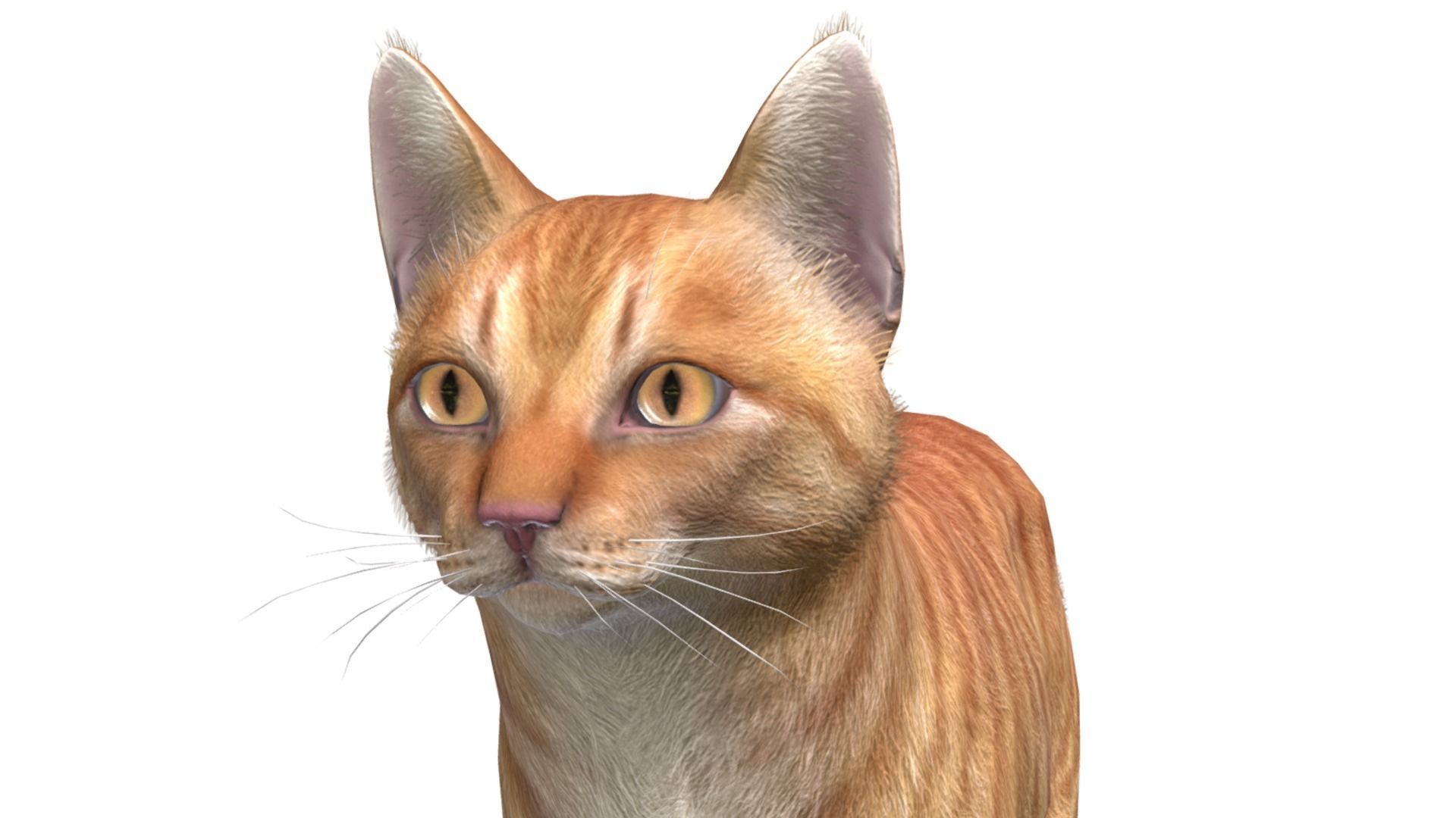 Cats - Simple Low-poly 3D model_5