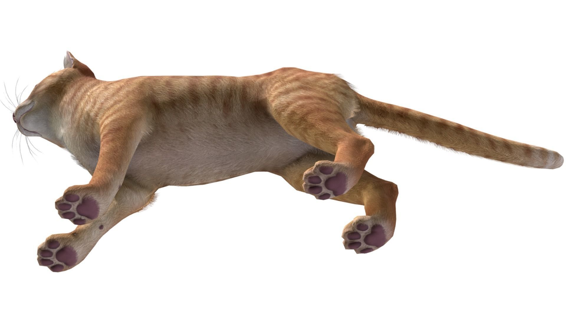 Cats - Simple Low-poly 3D model_9