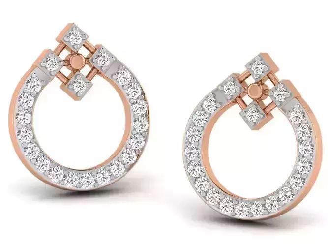 Women studs earrings 3dm render detail