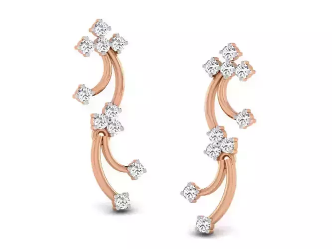 Women studs earrings 3dm render detail