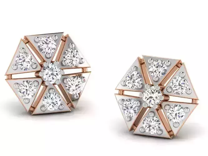 Women studs earrings 3dm render detail