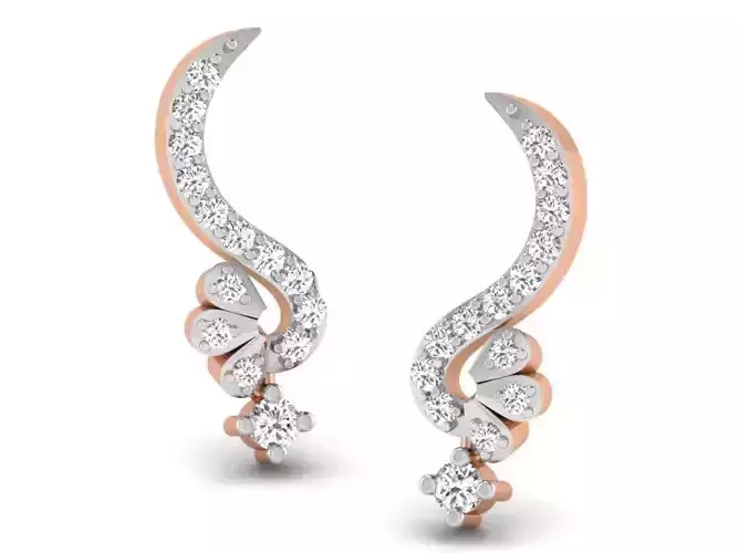 Women studs earrings 3dm render detail