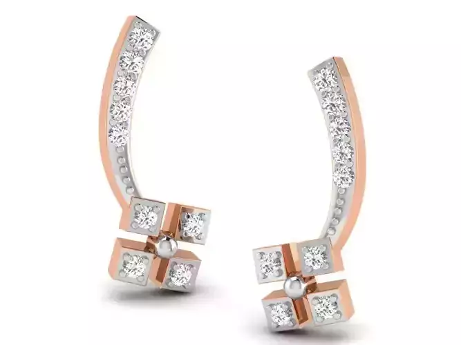 Women studs earrings 3dm render detail