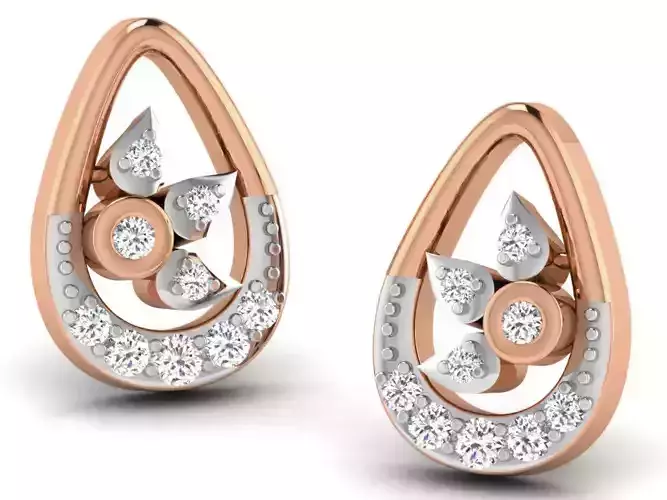 Women studs earrings 3dm render detail