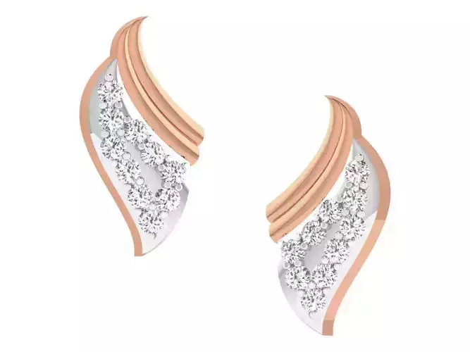 Women studs earrings 3dm render detail