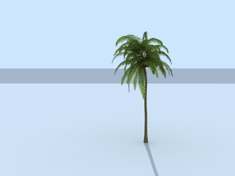Palm tree 3D model_2
