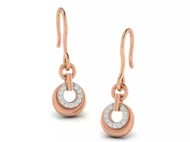 Women drop earrings 3dm render detail