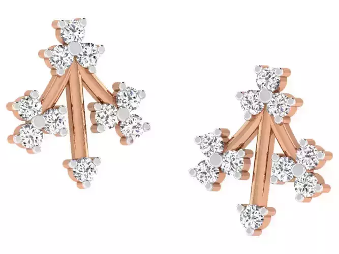 Women studs earrings 3dm render detail