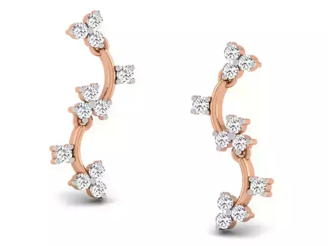 Women studs earrings 3dm render detail