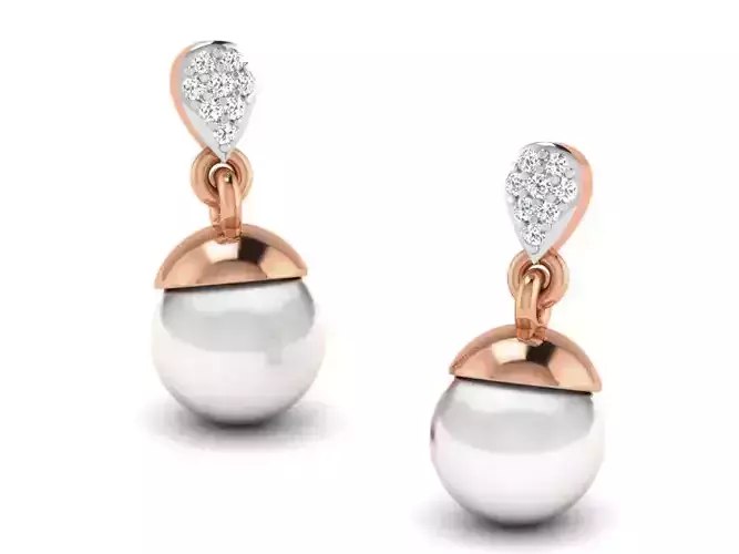 Women drop earrings 3dm render detail