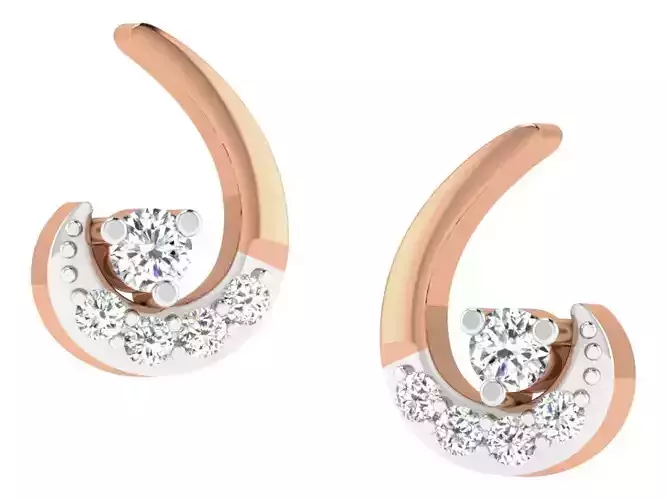 Women studs earrings 3dm render detail