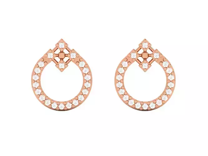 Women studs earrings 3dm render detail