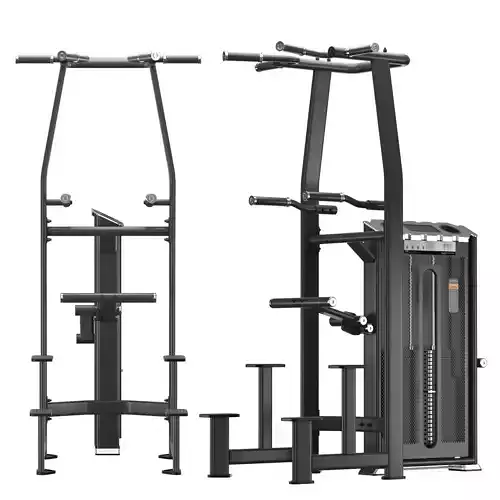 E-7009A DipChin Assist