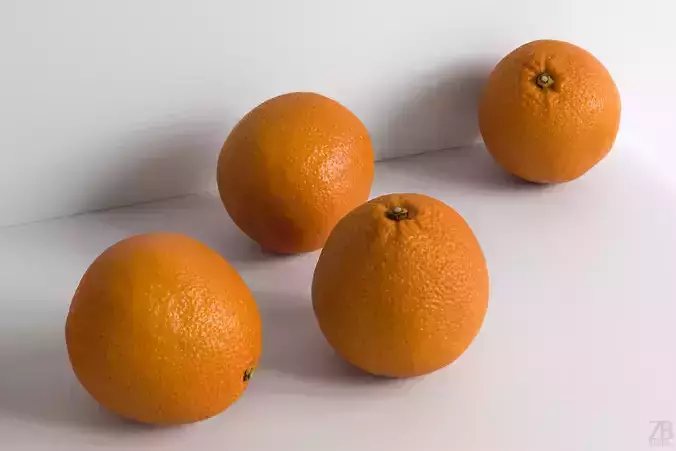 Orange 3D model