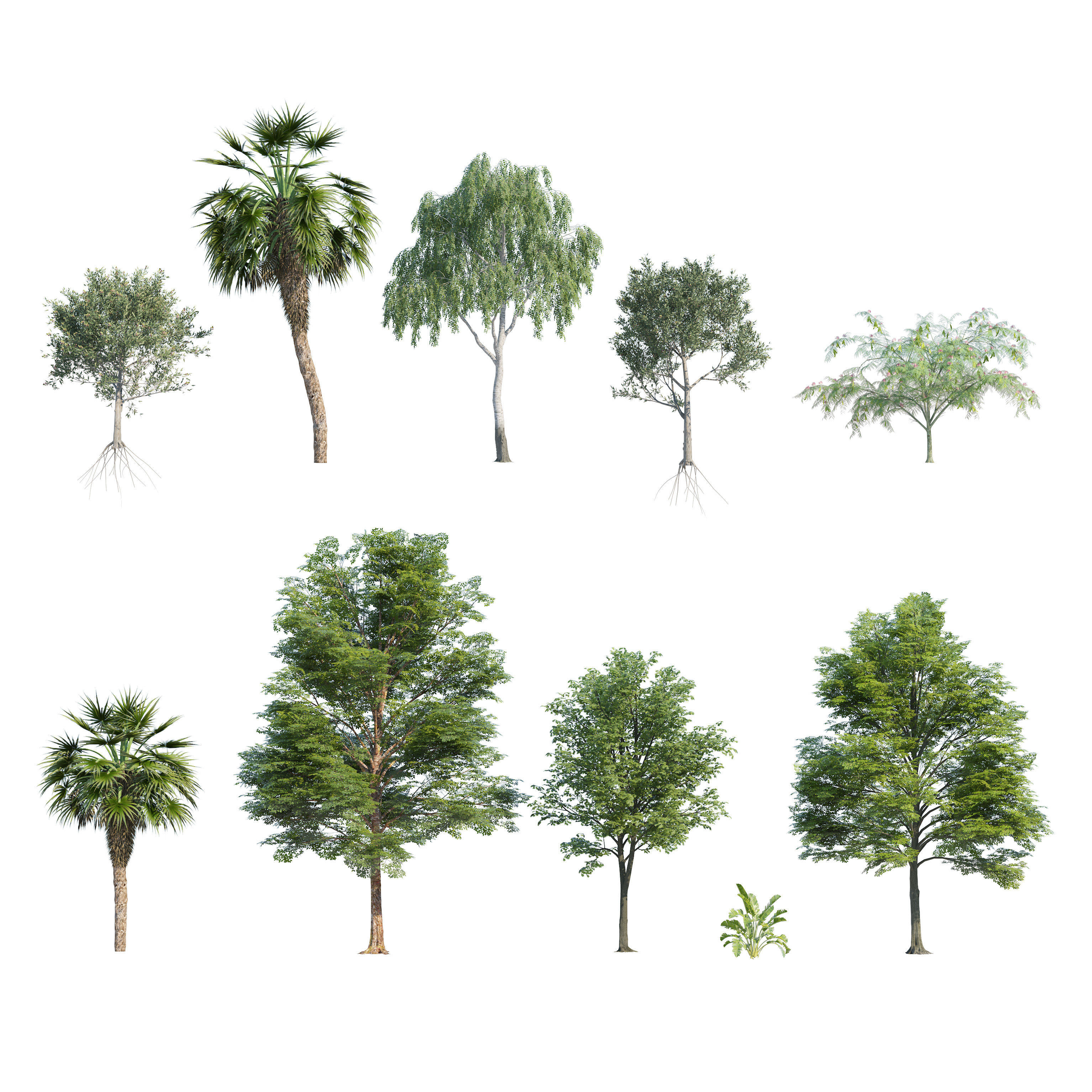 Park trees collection Low-poly 3D model_1