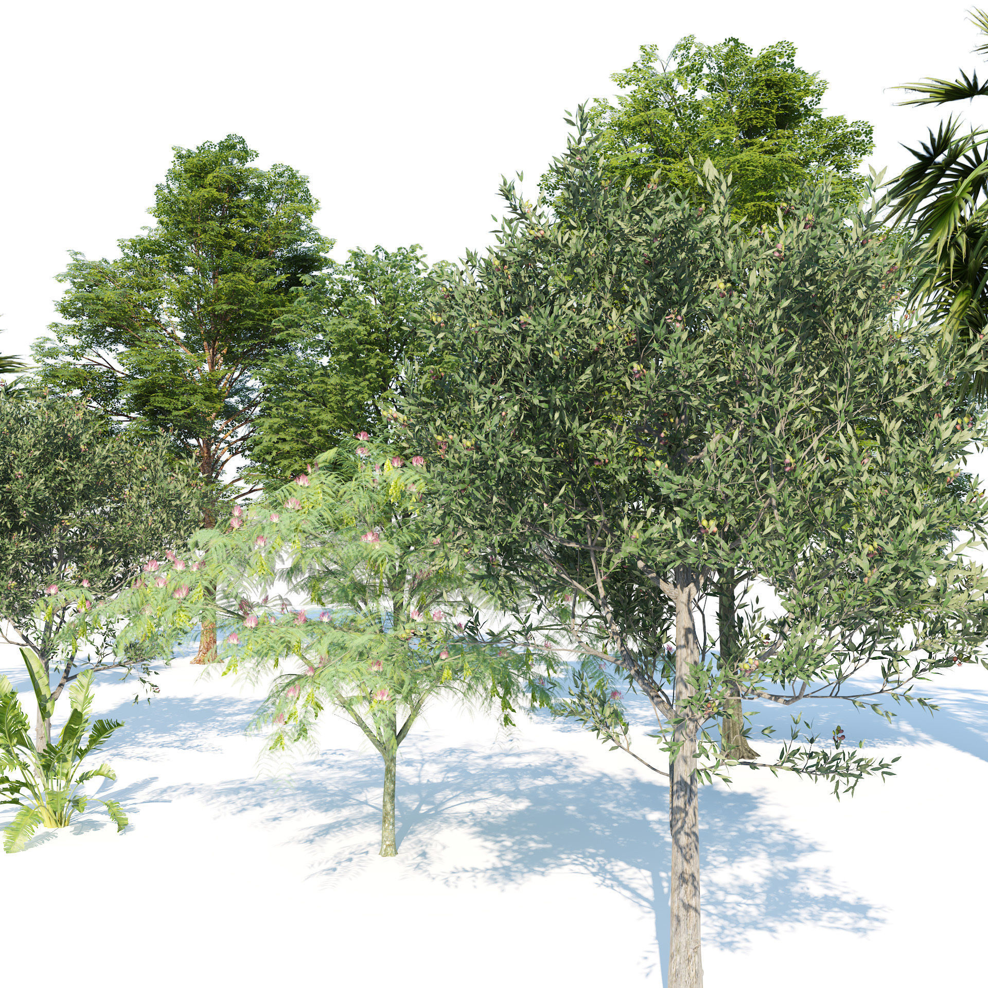 Park trees collection Low-poly 3D model_2