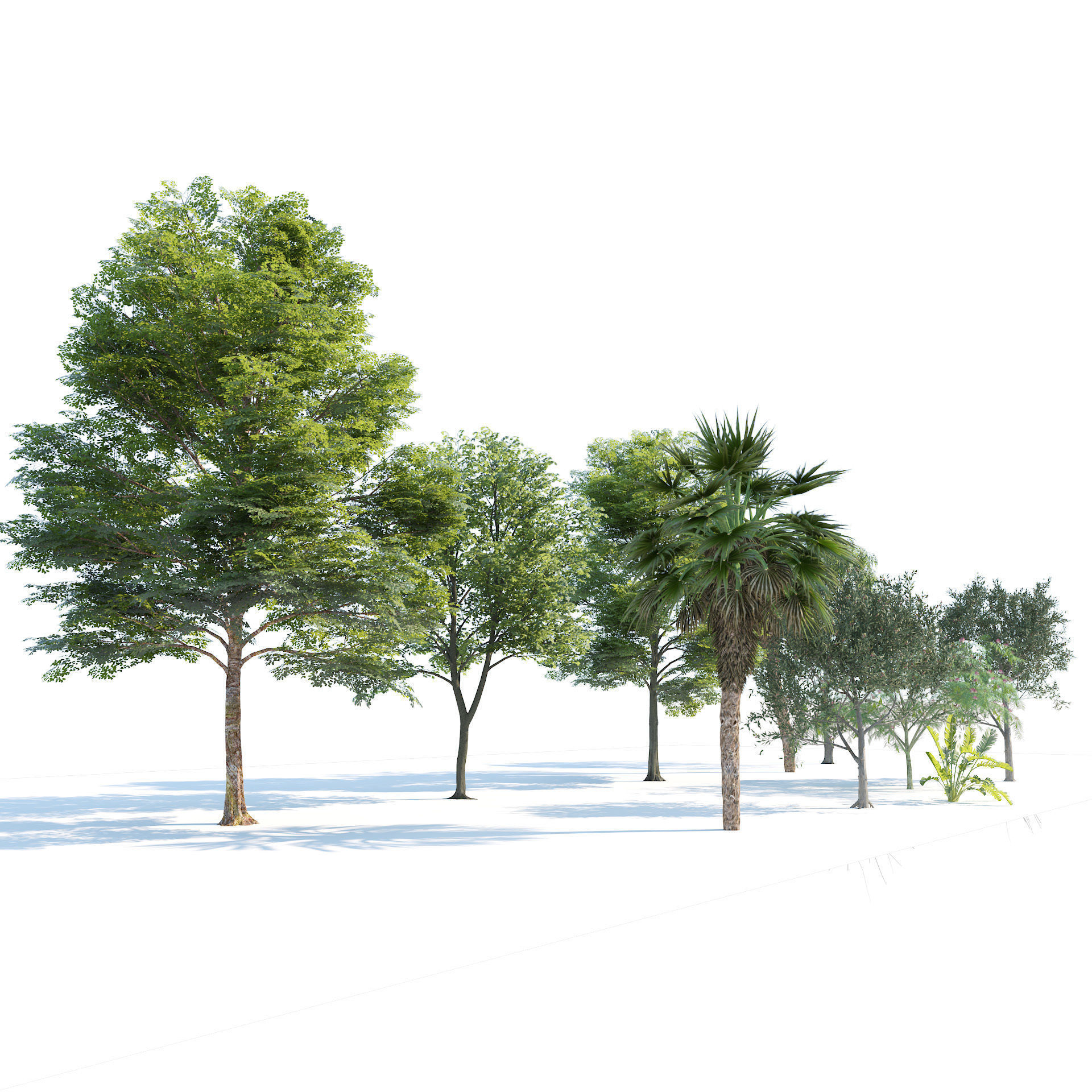 Park trees collection Low-poly 3D model_4