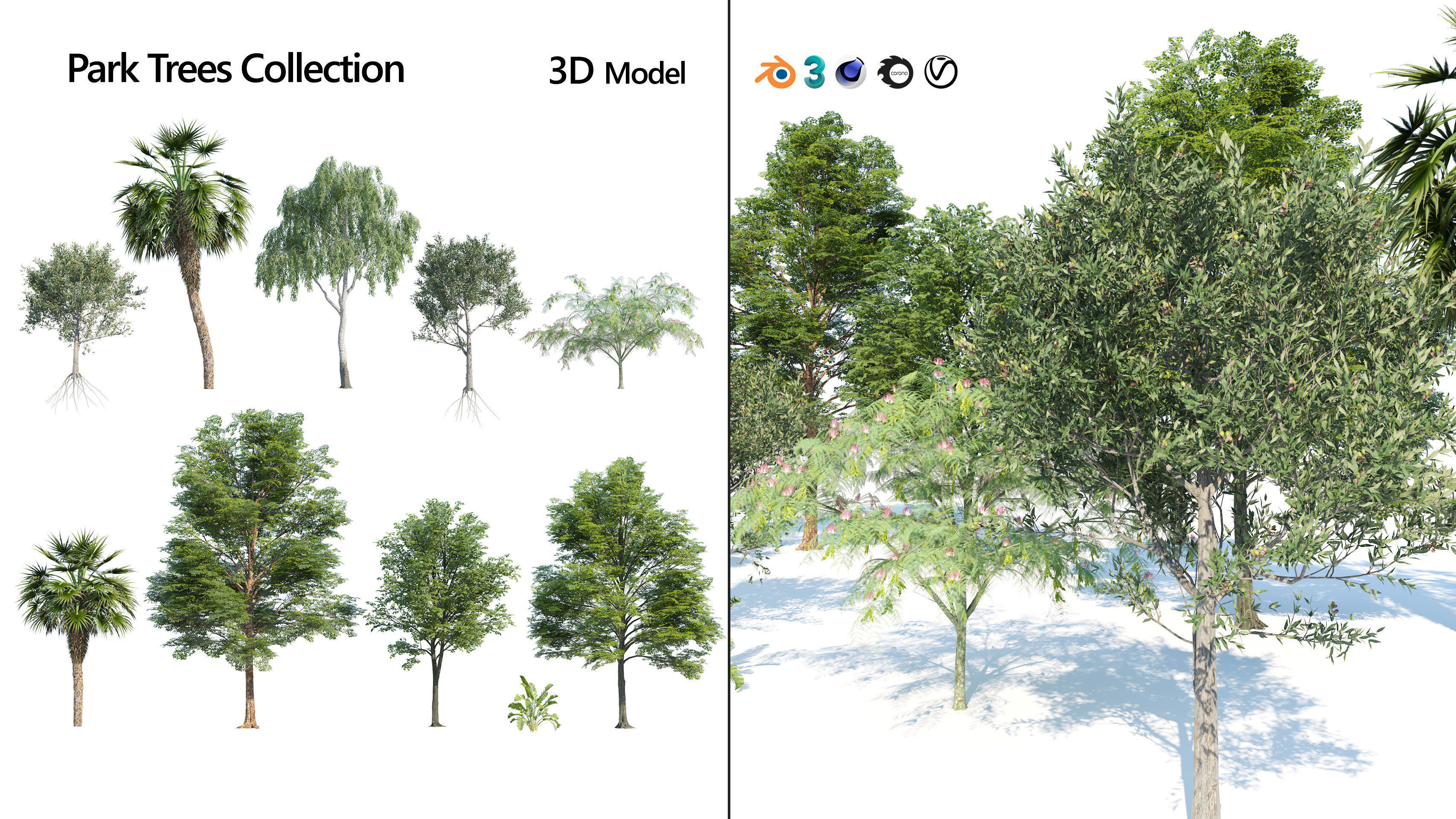 Park trees collection Low-poly 3D model_6
