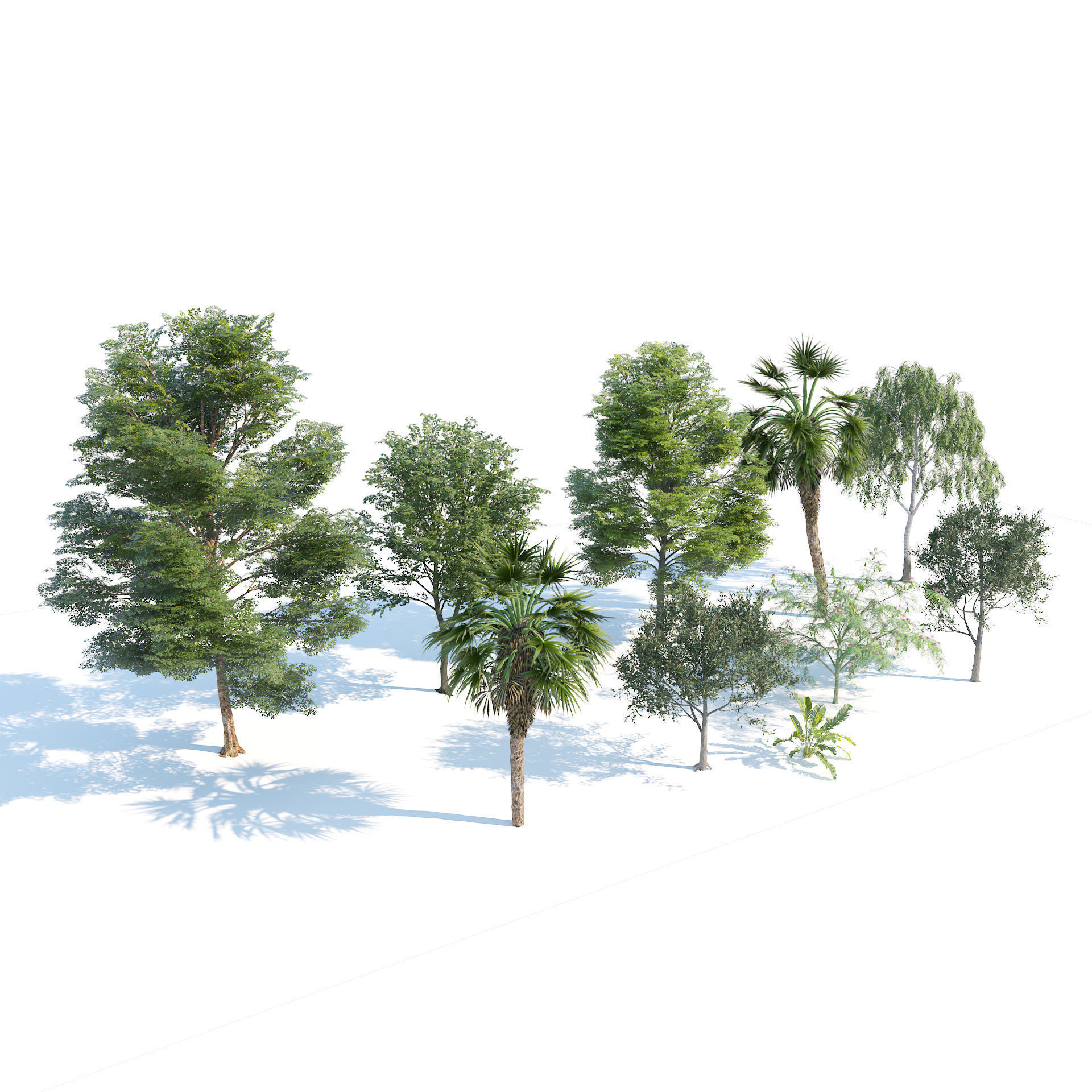 Park trees collection Low-poly 3D model_3