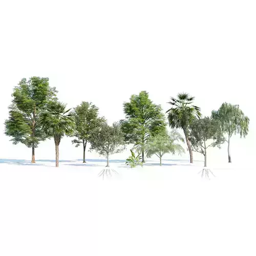 Park trees collection Low-poly 3D model