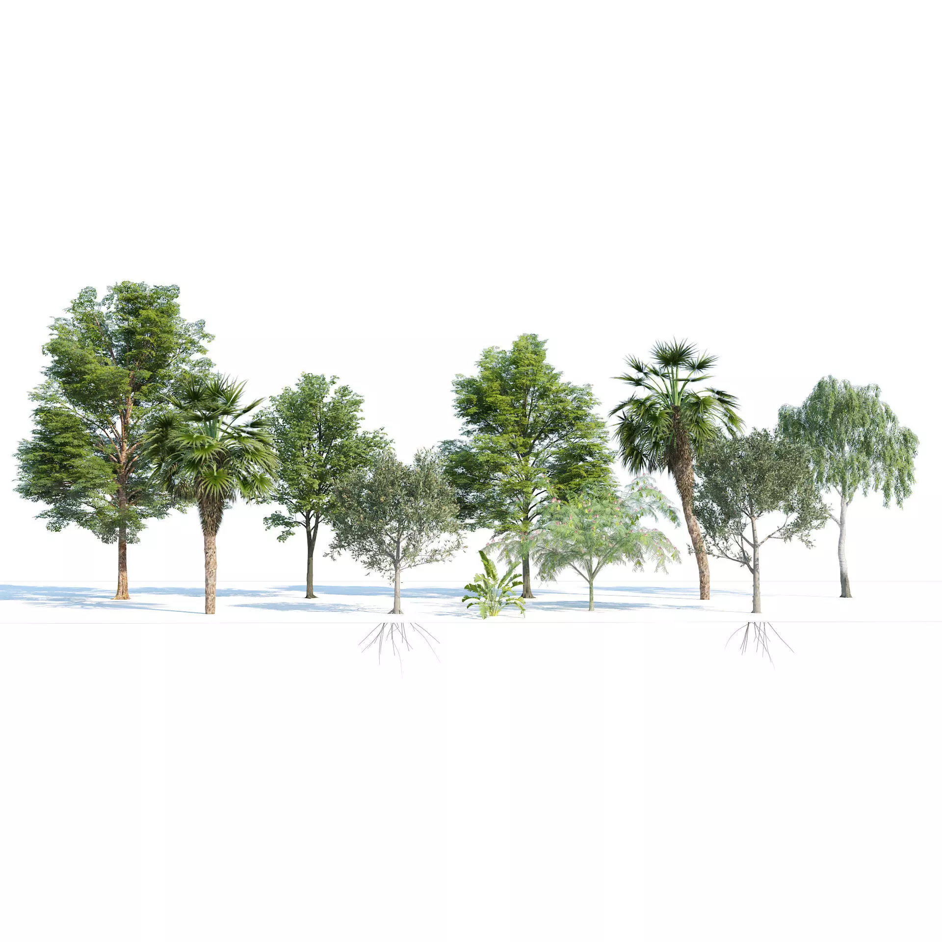 Park trees collection Low-poly 3D model_0