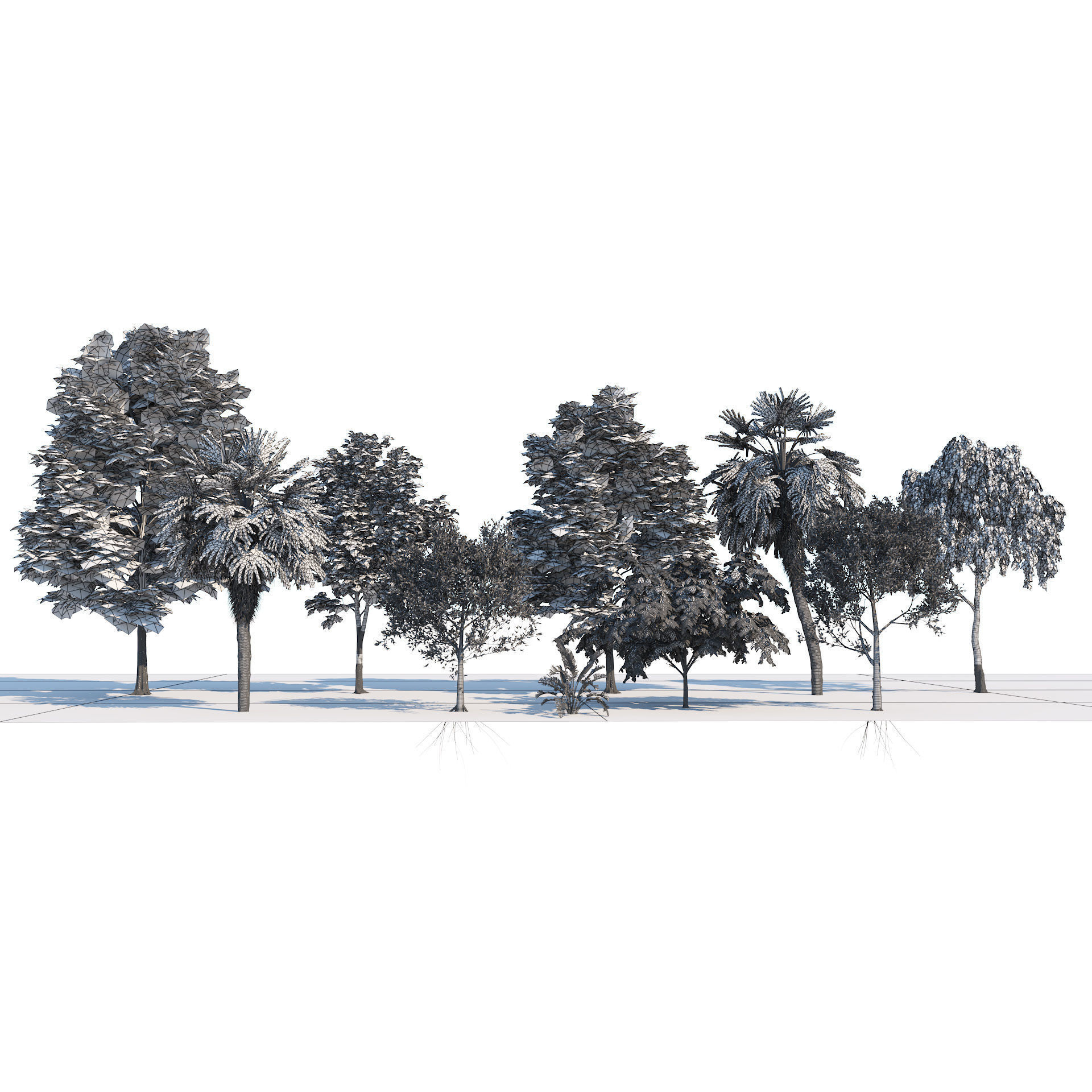 Park trees collection Low-poly 3D model_5