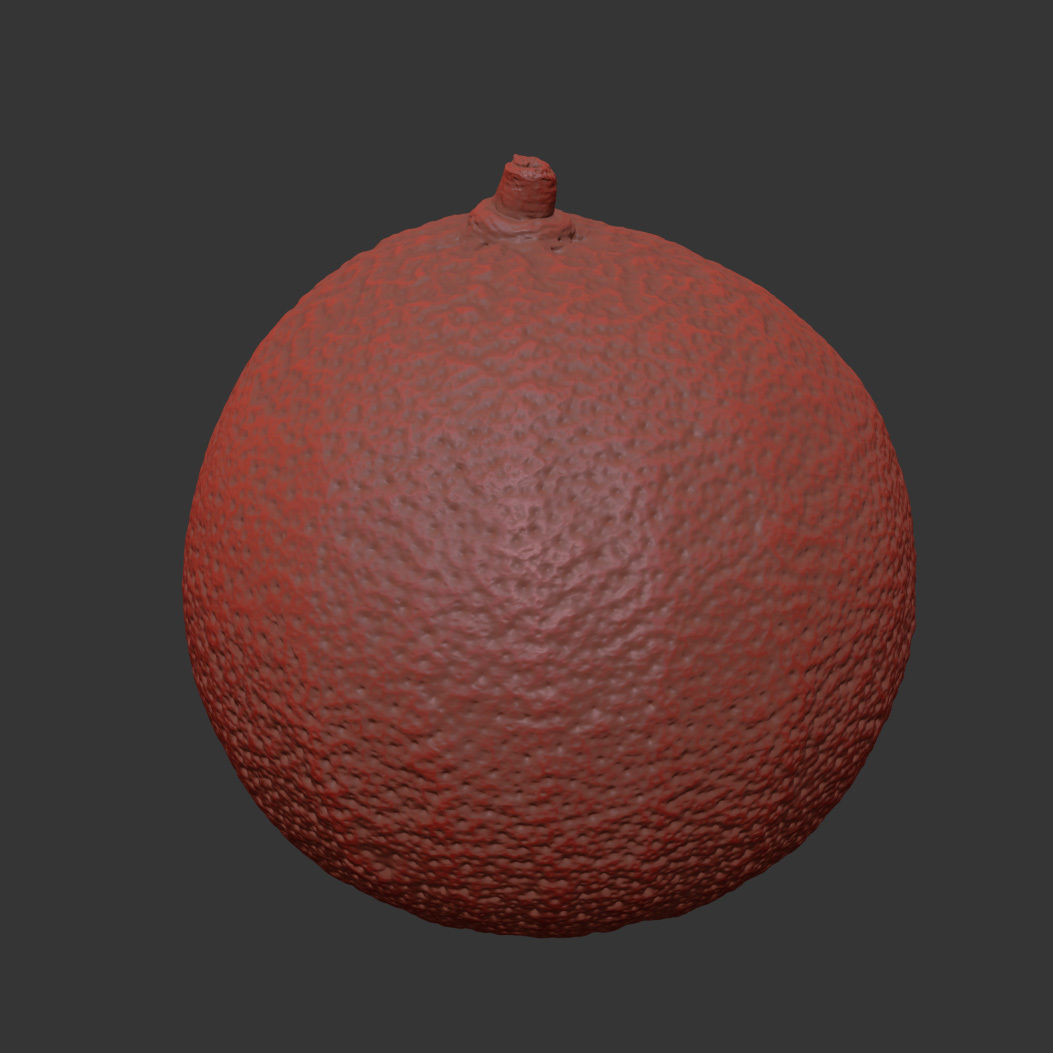 Bergamot 3D model_7