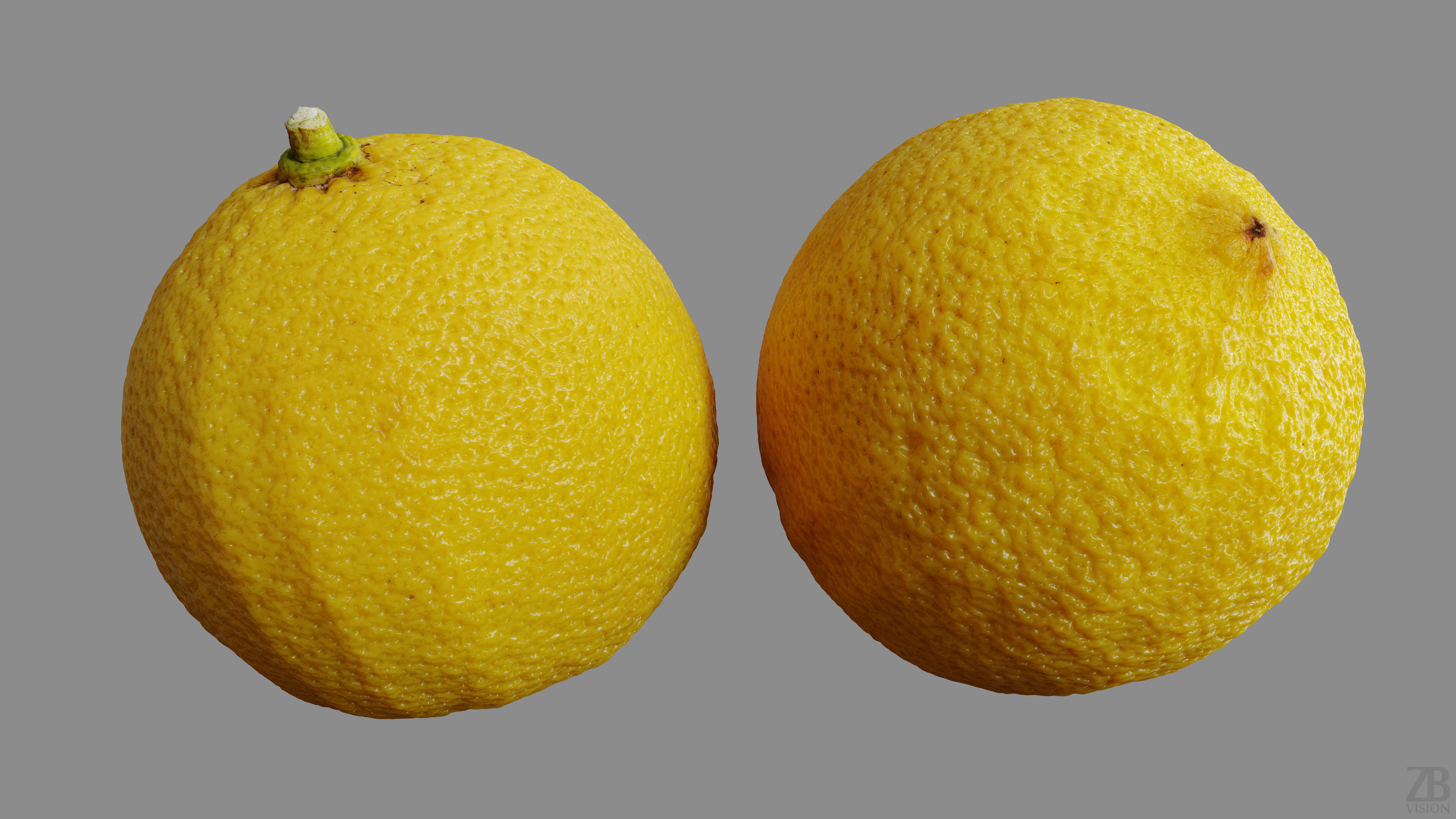 Bergamot 3D model_9
