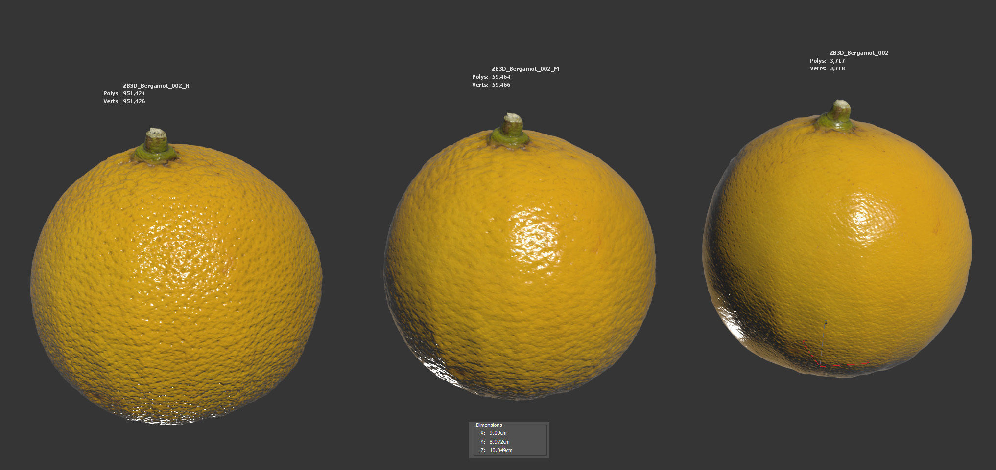 Bergamot 3D model_5