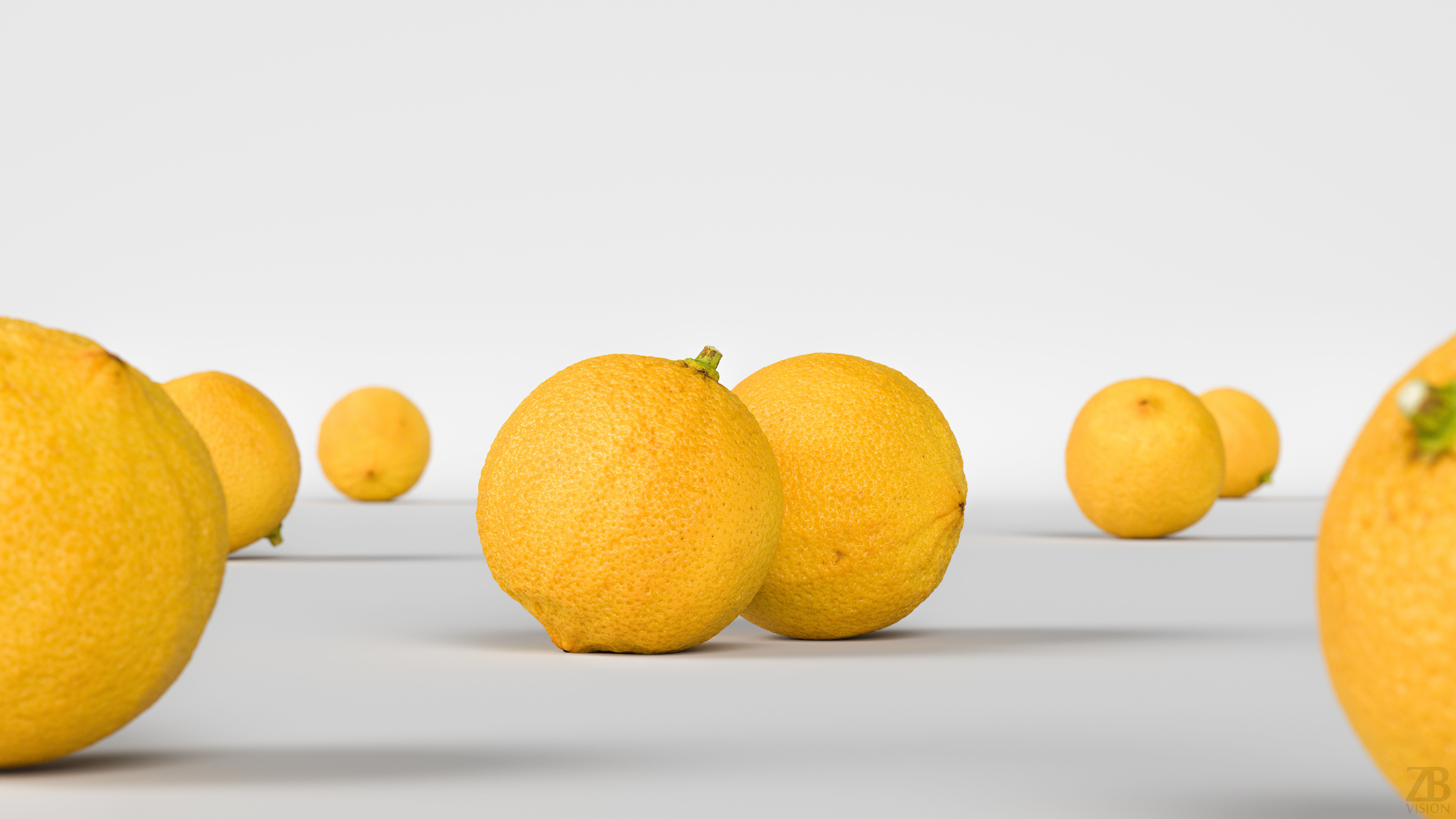 Bergamot 3D model_1