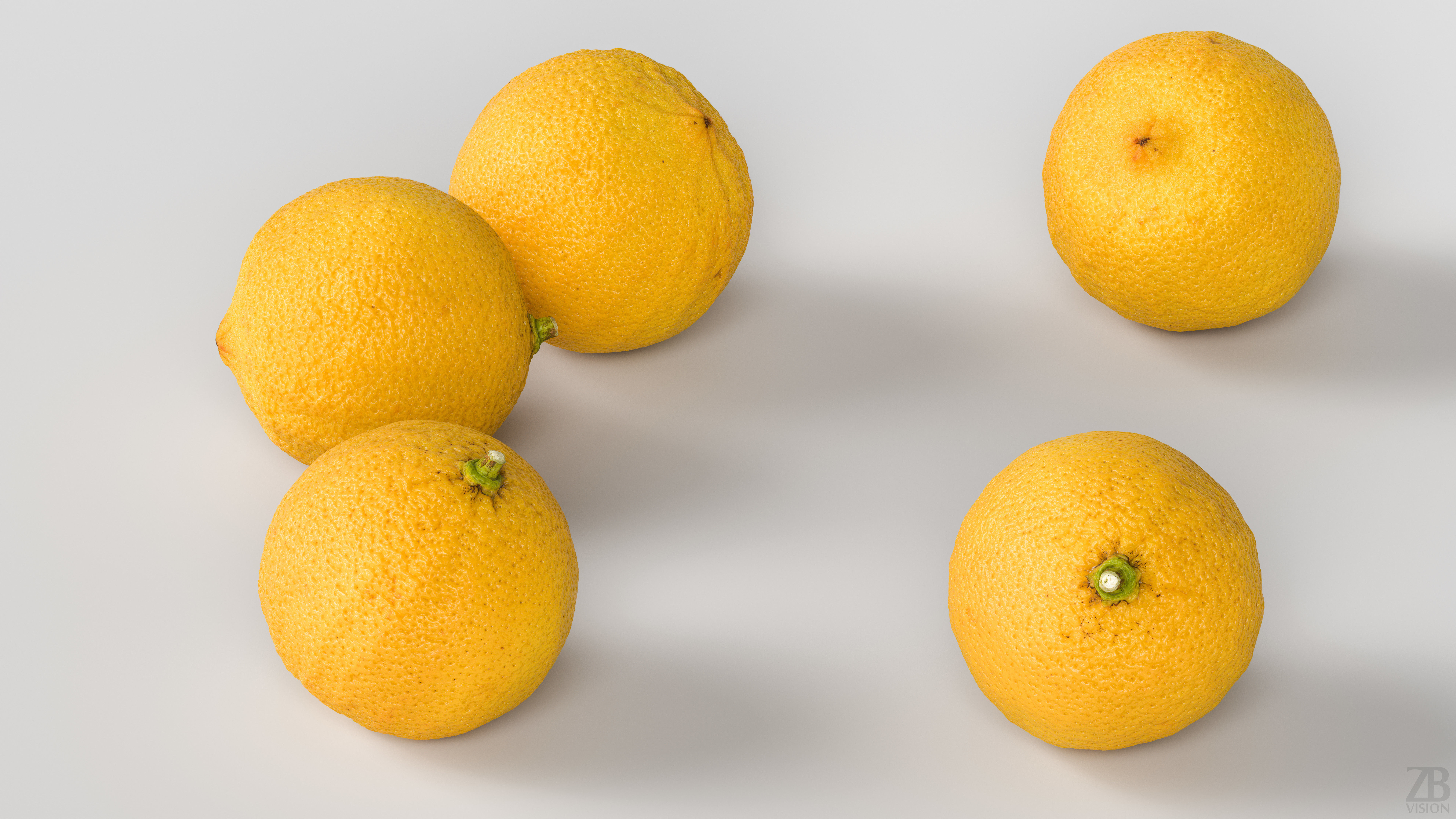 Bergamot 3D model_2