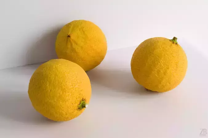 Bergamot 3D model
