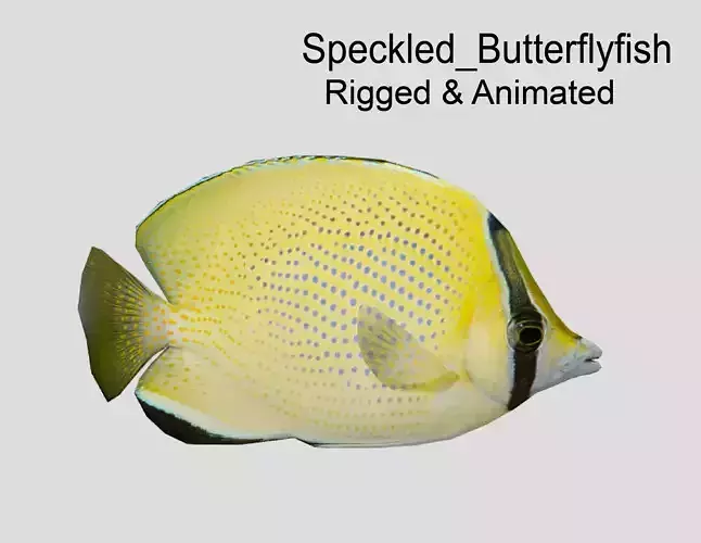 Speckled Butterflyfish