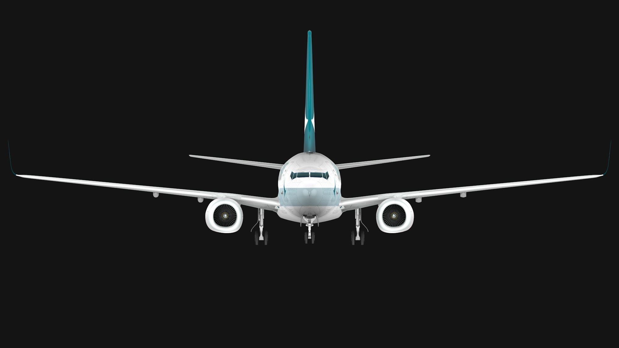 Boeing 737-800 Cathay Pacific Low-poly 3D model_3