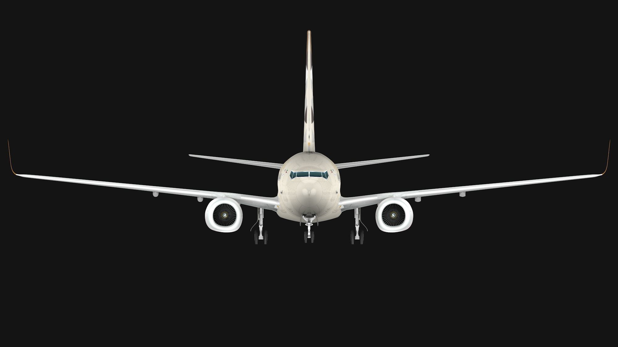 Boeing 737-800 Etihad Airways Low-poly 3D model_3