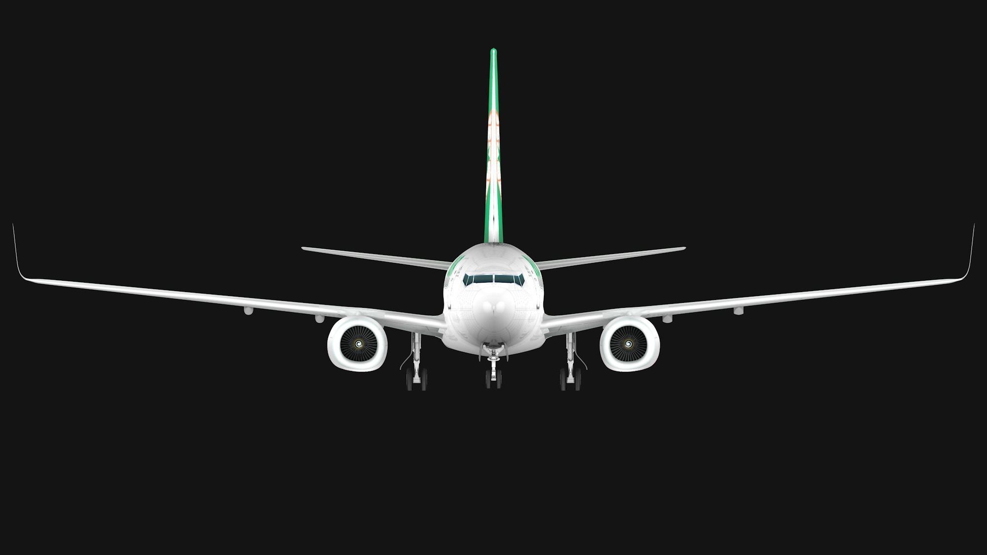 Boeing 737-800 EVA Air Low-poly 3D model_3