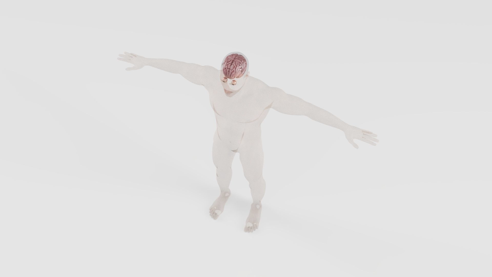 Human Brain 3D model_2