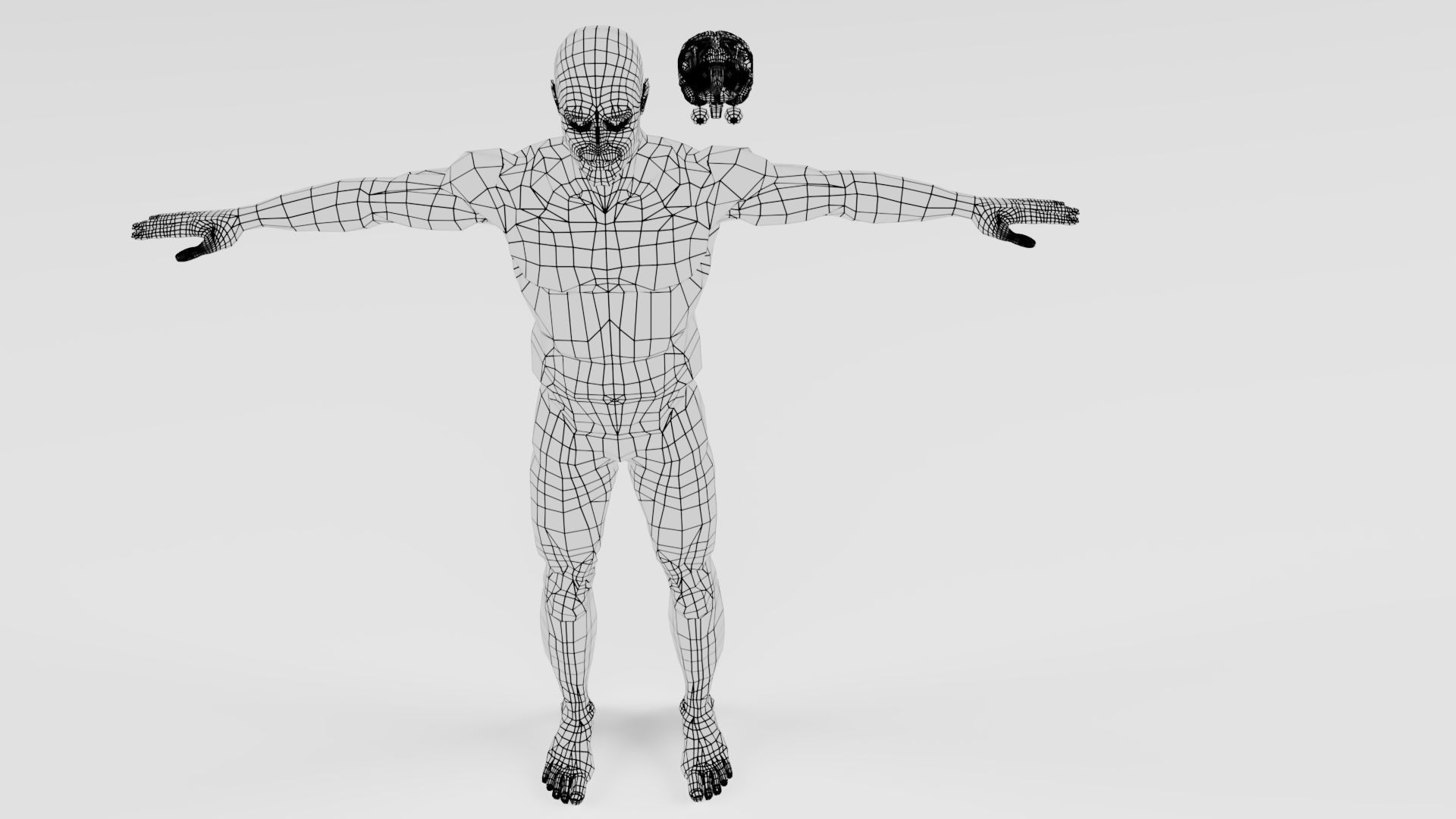 Human Brain 3D model_4