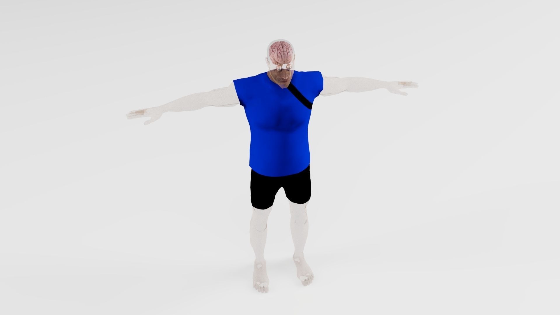 Human Brain 3D model_6