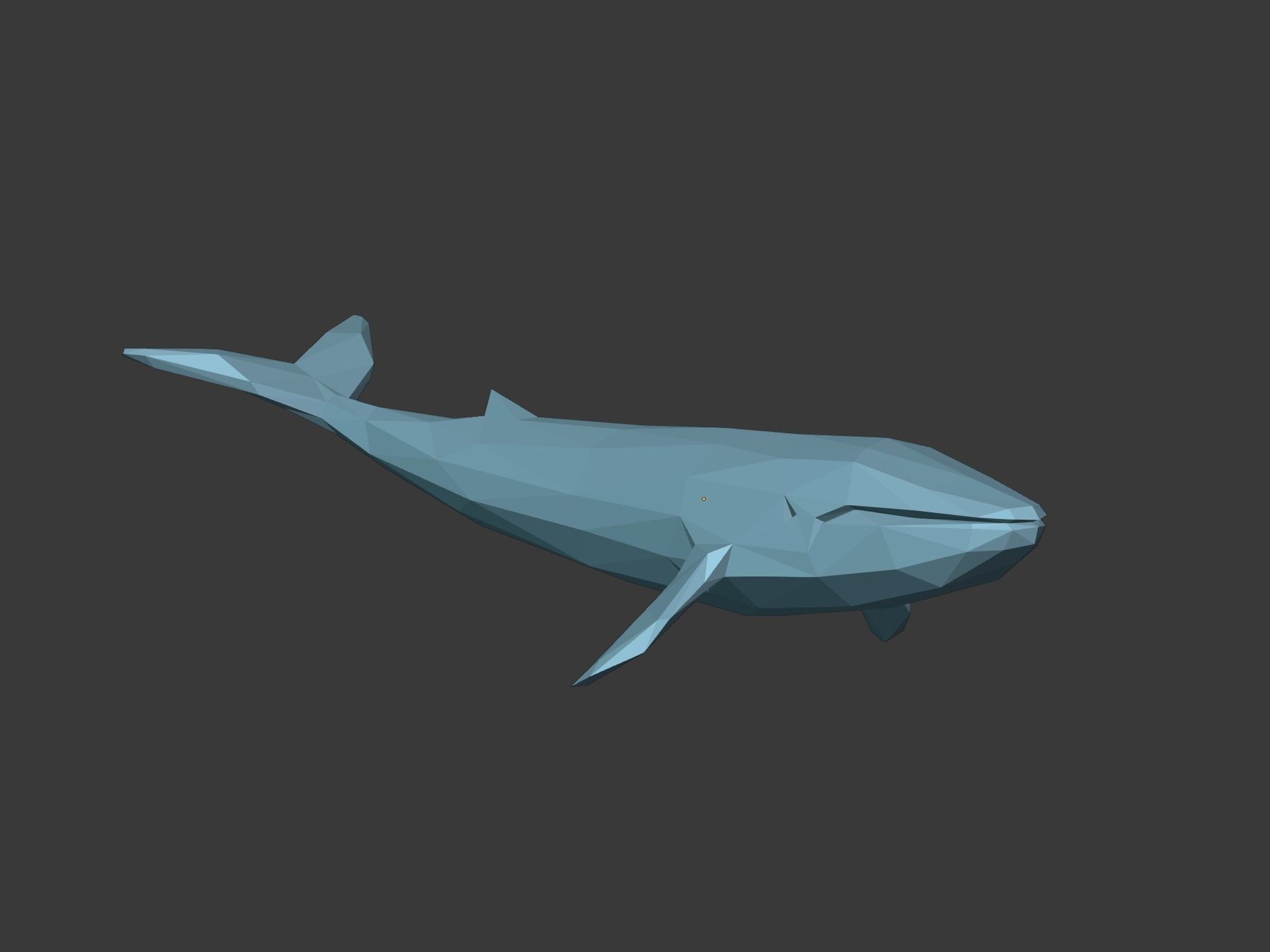 LowPoly Blue Whale Low-poly 3D model_17