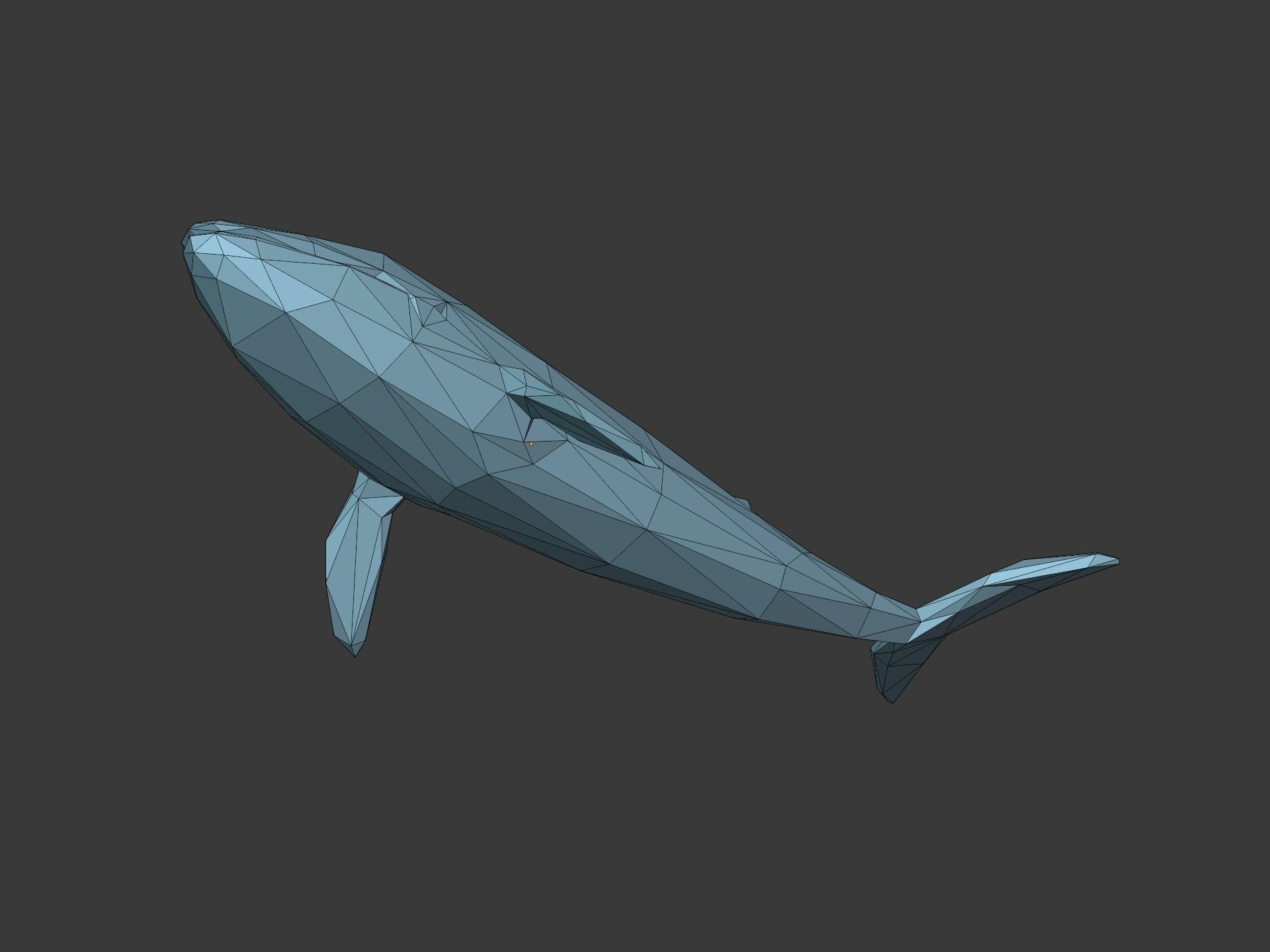 LowPoly Blue Whale Low-poly 3D model_14