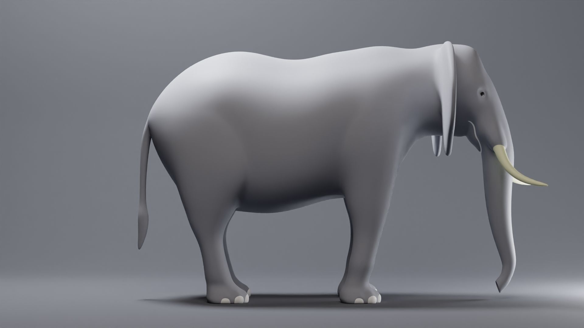 Elephant Base Mesh Low-poly 3D model_3