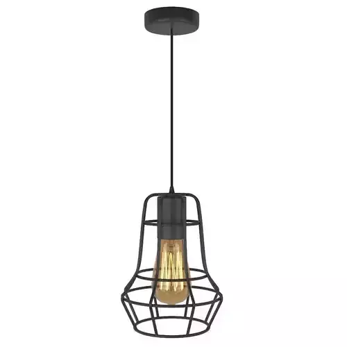 PendantMetalLamp00 caged pendant light with bulb