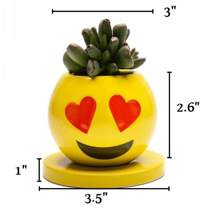 EMOJI PACK PLANTER FACES GARDEN POTS PRINT MODEL 3D STL 3D model 3D