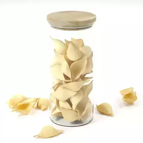 polypasta - Conchiglioni Rigate pasta in glass with lid 3D model