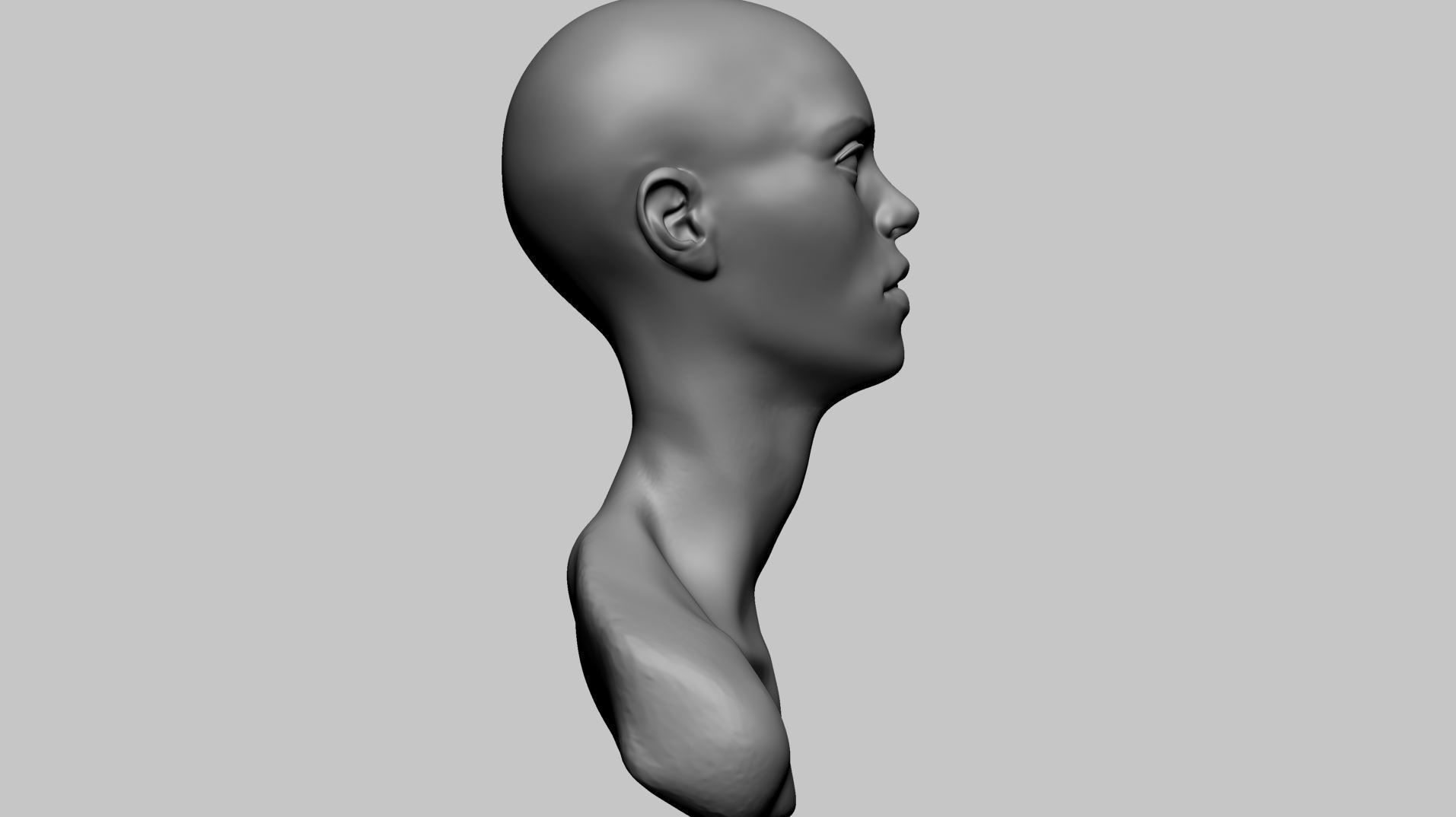 Base Female Head C 3D model_3