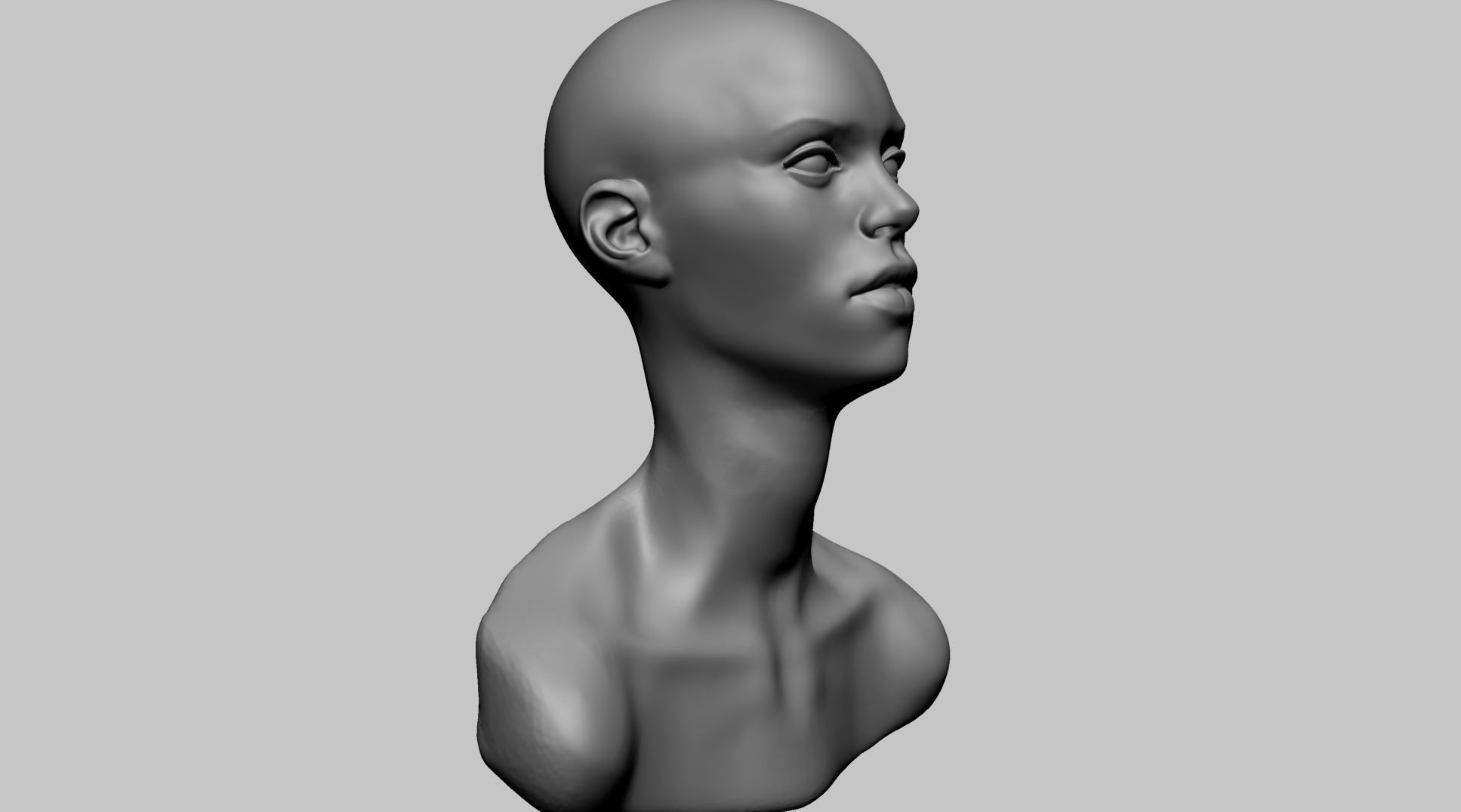 Base Female Head C 3D model_2
